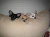 The Boys hanging out